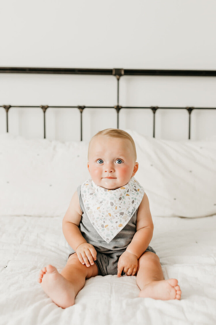 Copper Pearl Copper Pearl Bandana Bibs - Rex