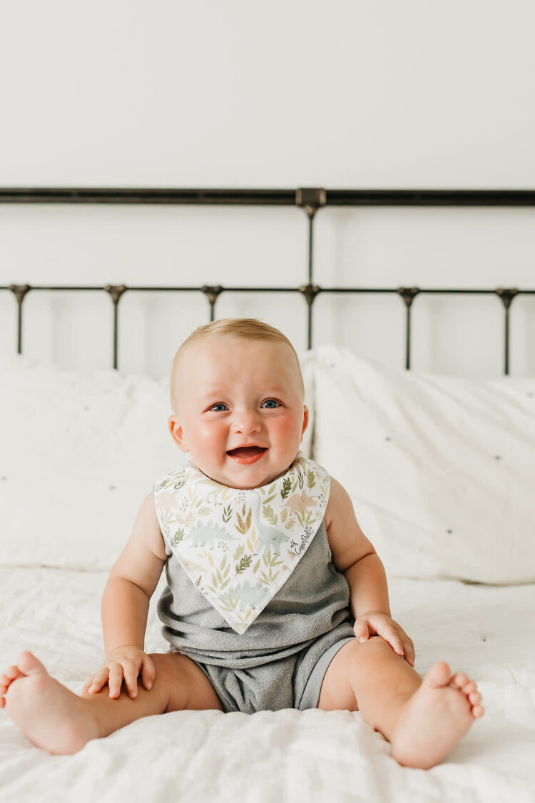Copper Pearl Copper Pearl Bandana Bibs - Rex