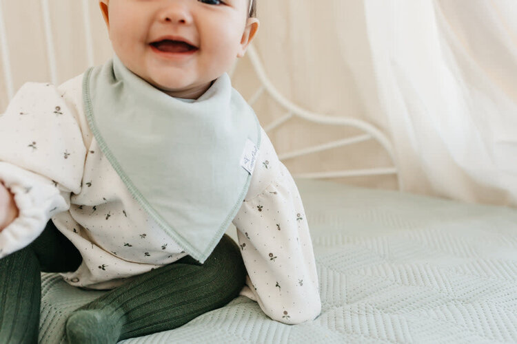 Copper Pearl Copper Pearl Bandana Bibs - Rex