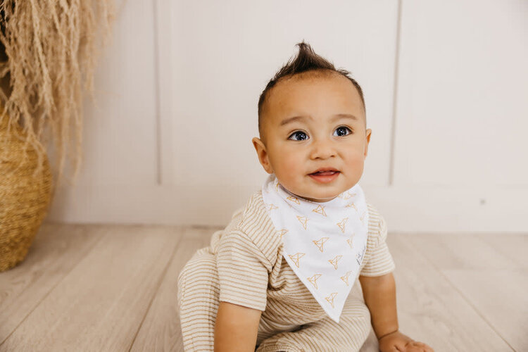 Copper Pearl Copper Pearl Bandana Bibs - Haven