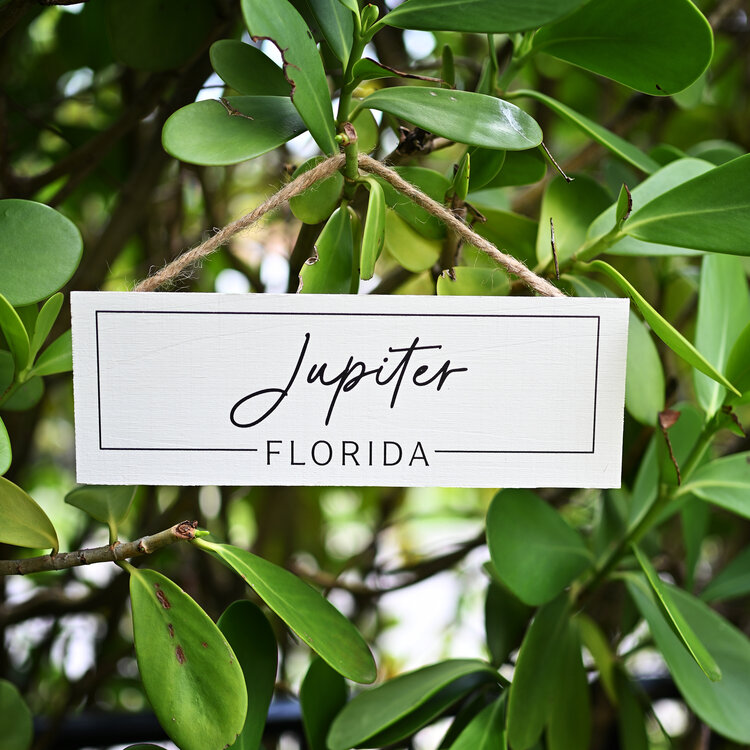 PGD Hanging Sign - Jupiter, FL