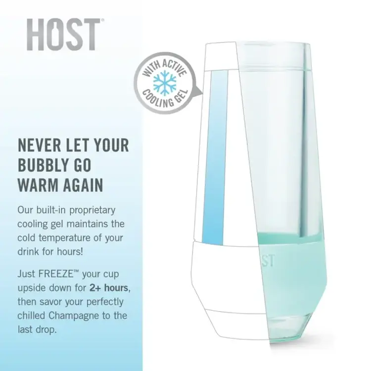 Host Set of 2 Host Freeze Seafoam Champagne Cooling Cups