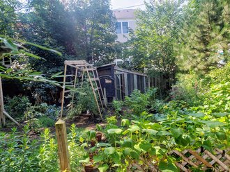 How to Plan a Garden