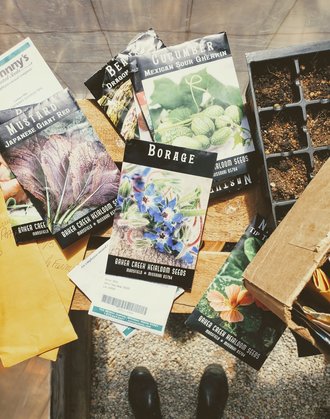 A Guide to Seed Starting