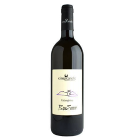 Picariello 2023 Ciro Picariello BruEmm Falanghina  750 ml