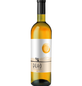 2022 Orgo Dila-O Rkatsiteli/Mtsvane Dry Amber Wine 750 ml