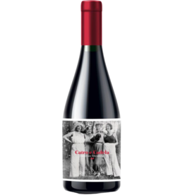 2021 Anonimas Catro e Cadela Mencia Ribeira Sacra 750 ml