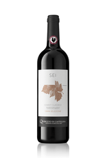 2020 Querceto di Castellina Sei Gran Selezione  Chianti Classico 750 ml