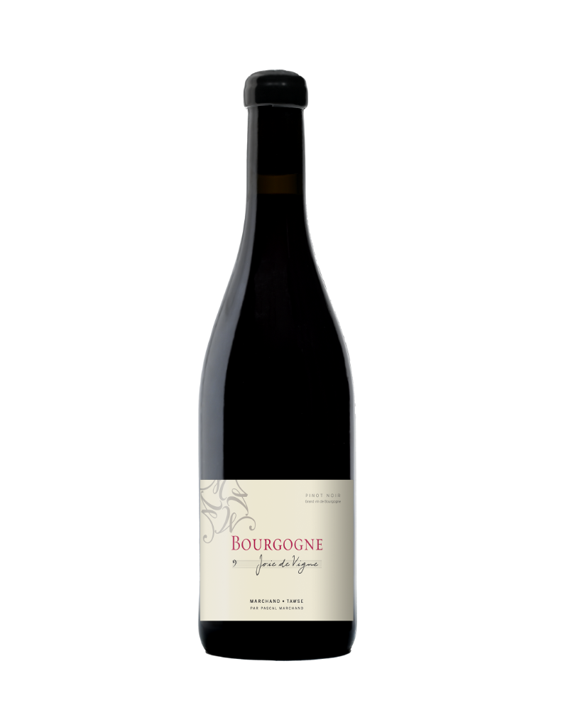 Marchand-Tawse 2024 Marchand-Tawse Joie de Vigne Bourgogne Rouge  750 ml