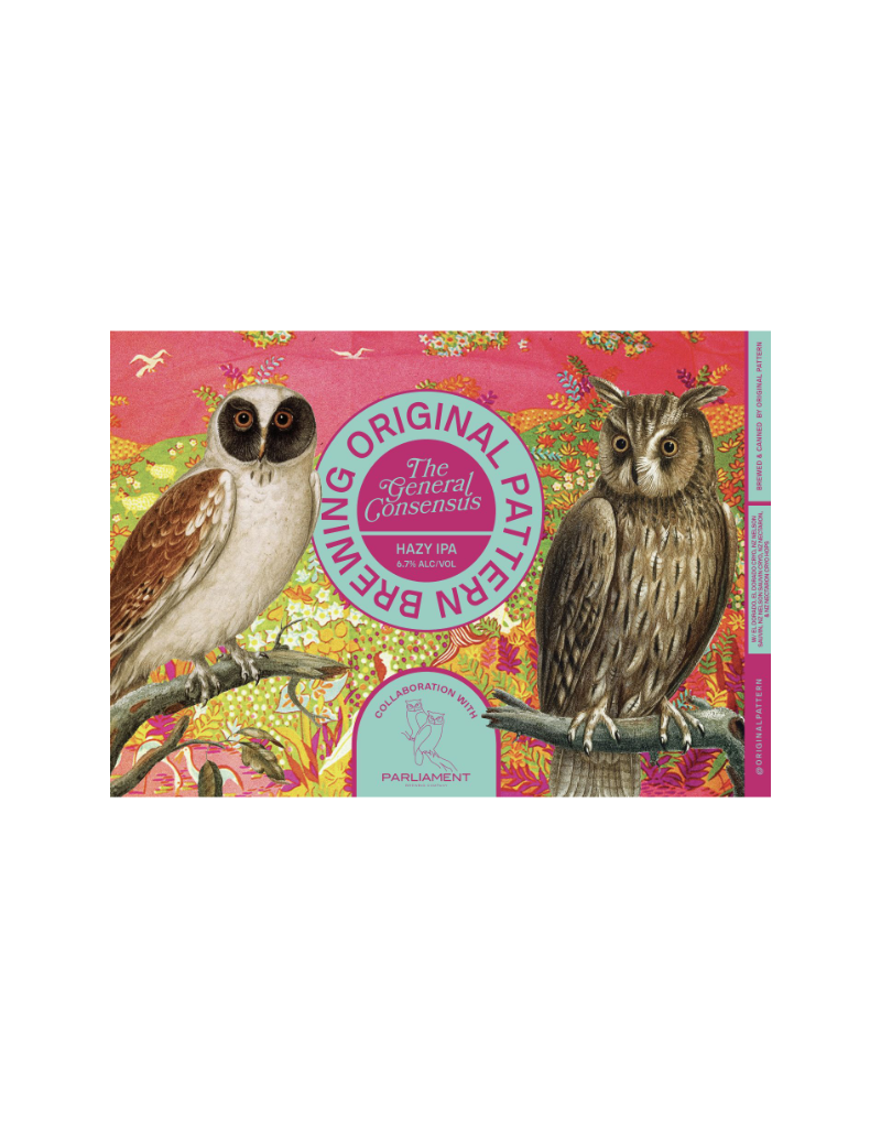 Original Pattern Brewing Co. The General Consensus Hazy IPA 4 pack 16 oz