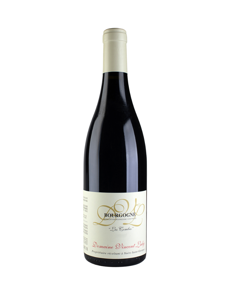 2022 Dom. Vincent Ledy Les Combes Bourgogne  750 ml