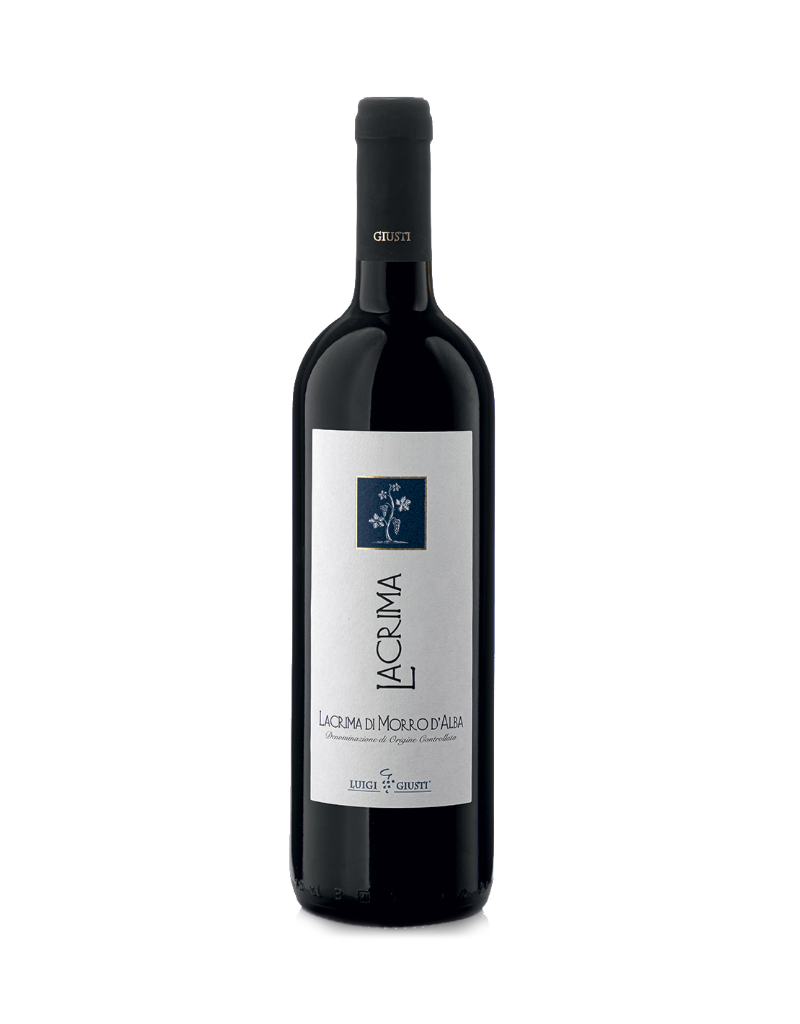 2024 Luigi Giusti Lacrima di Morro d’Alba DOC  750 ml