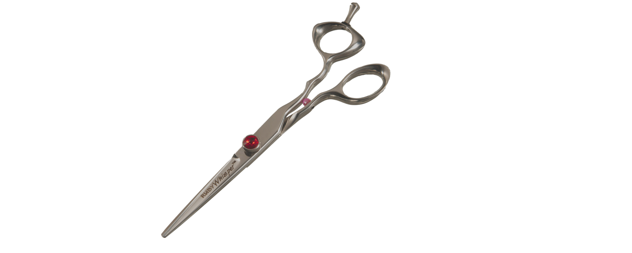 Professional Cutting Shears