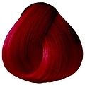 OYA OYA Wild Direct Color 90g