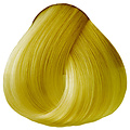 OYA OYA Wild Direct Color 90g