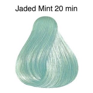 Color Touch Instamatic Jade Mint Demi-Permanent Hair Colour 57g