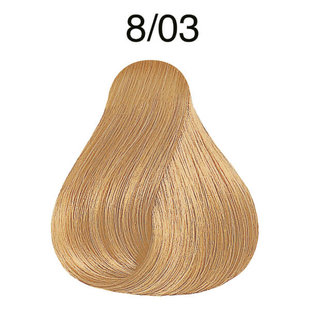 Color Touch 8/03 Light Blonde/Natural Gold Demi-Permanent Hair Colour 57g