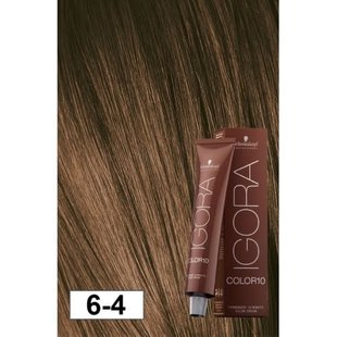 6-4 Color10 Dark Blonde Beige  60g - Igora Color10 by Schwarzkopf