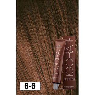 6-6 Color10 Dark Blonde Auburn  60g - Igora Color10 by Schwarzkopf