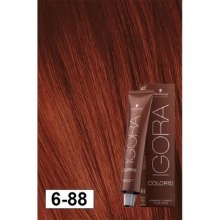 6-88 Color10 Dark Blonde Extra  60g - Igora Color10 by Schwarzkopf