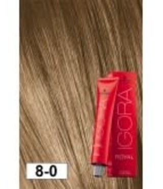 8-0 Light Blonde 60g - Igora Royal by Schwarzkopf