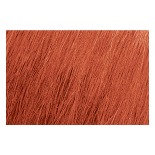 Matrix Color Sync 6GG Light Brown Gold Gold