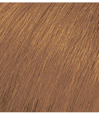 Matrix Color Sync 6WN Light Brown Warm Neutral