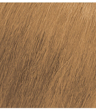 Matrix Color Sync 8M Medium Blonde Mocha