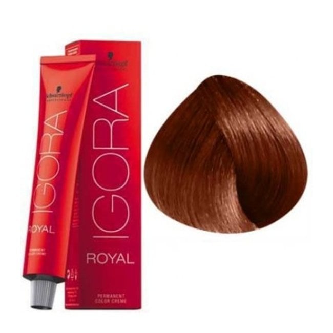 Schwarzkopf Professional Igora Royal Permanent Hair Color, 8-77, Light  Blonde Copper, 60 Gram