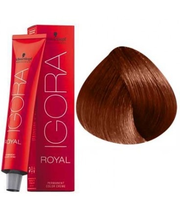  Schwarzkopf Professional Igora Royal Permanent Hair Color, 8-77,  Light Blonde Copper, 60 Gram : Chemical Hair Dyes : Beauty & Personal Care