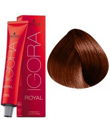 Schwarzkopf Igora Royal Hair Color 8-77 Medium Blonde Natural Extra 