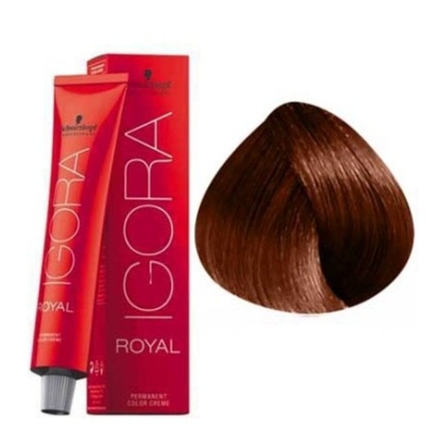 Maritime Beauty - Schwarzkopf Professional Igora Royal Permanent Cream 6.77  Dark Blonde Copper Extra