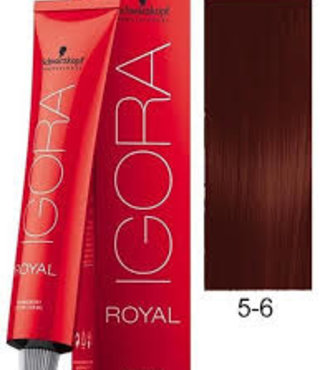 5-6 Light Brown Chocolate 60g - Igora Royal by Schwarzkopf