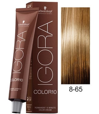 8-65 Light Auburn Gold Blonde 60g - Igora Royal by Schwarzkopf