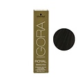 Schwarzkopf 7-560 Medium Gold Anti-Age 60g - Igora Royal Absolutes by Schwarzkopf
