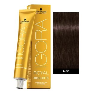 4-50 Medium Brown Gold Natural 60g - Igora Royal Absolutes by Schwarzkopf
