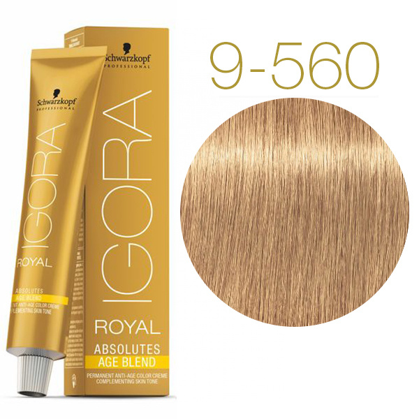 9-560 Extra Light Blonde Gold Chocolate 60g - Igora Royal Absolutes by Schwarzkopf