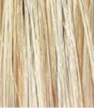 Redken Color Fusion Natural Fashion 12Go