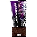 Redken Chromatics Prismatic Permanent Color 2oz  4Bc