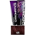 Redken Chromatics Prismatic Permanent Color 2oz  4R