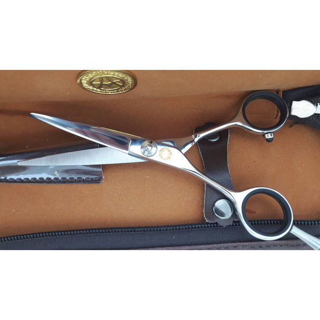 HairWhisper HairWhisper Silver Cutting Left On Set 5.5"