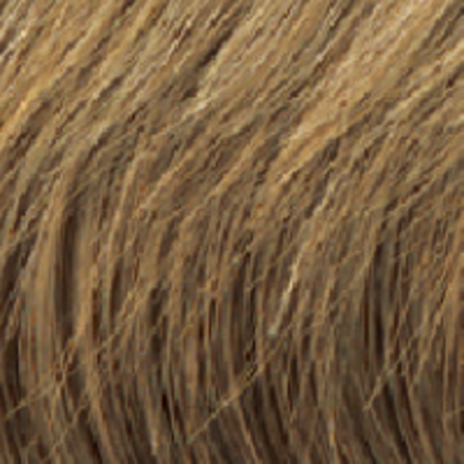 Wig Expressions  KYLIE  H14+