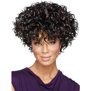 Full On Curl Wig #2 Dark Brown
