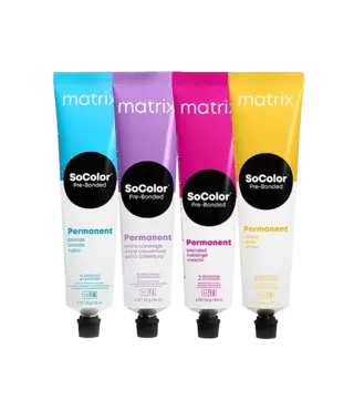 Matrix Permanent
