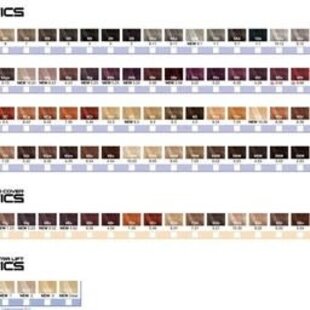 Redken Chromatics Prismatic Permanent Color 2oz
