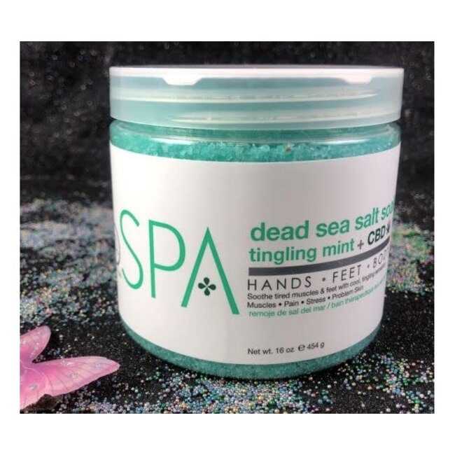 BCL Spa BCL SPA DEAD SEA SALT SOAK MINT&CBD 16OZ