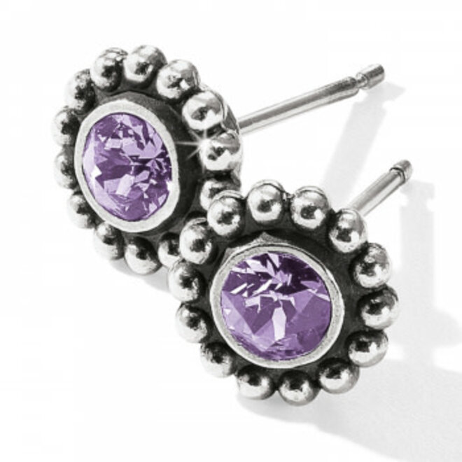 Brighton twinkle shop post earrings