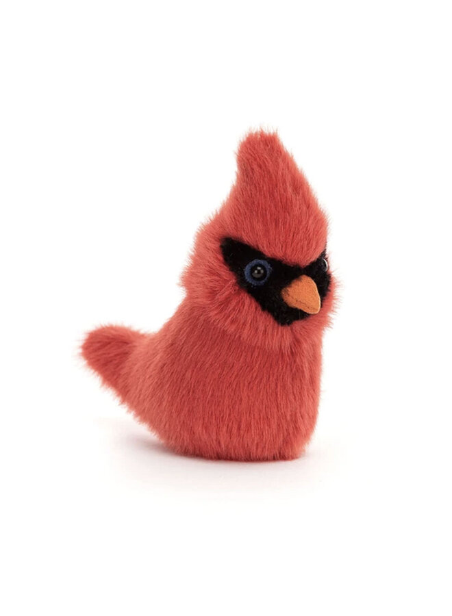 Birdling Cardinal