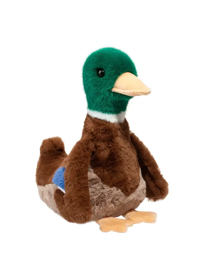Desie Mallard Duck