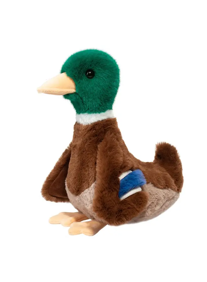 Desie Mallard Duck